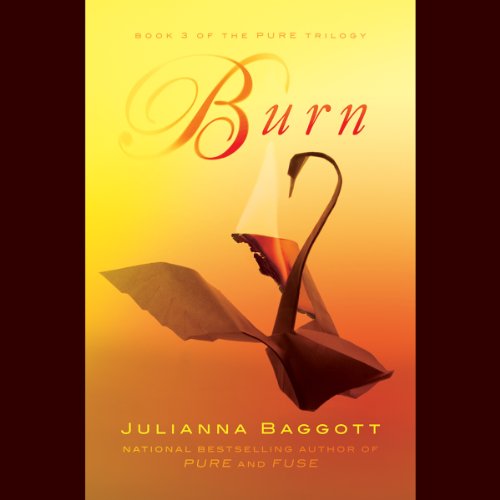 Cover of Burn