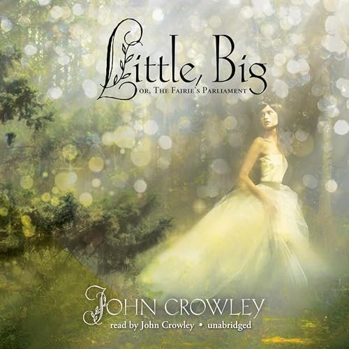 Cover of Little, Big