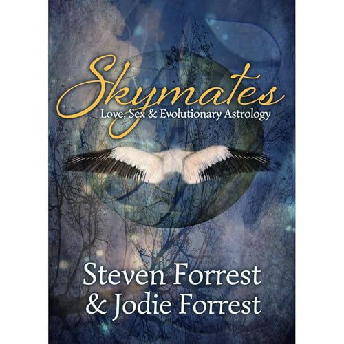 Cover of Skymates