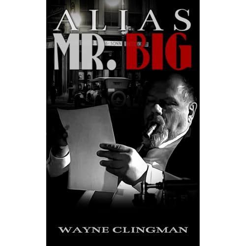 Cover of Alias Mr. Big