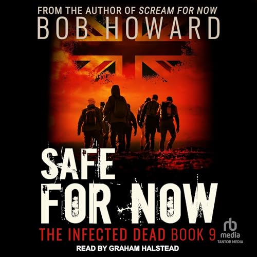 Cover of Safe for Now