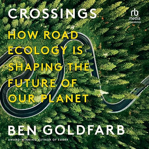 Cover of Crossings