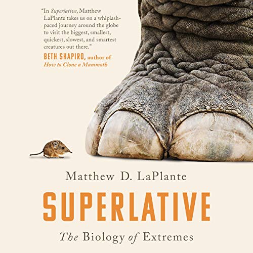 Cover of Superlative