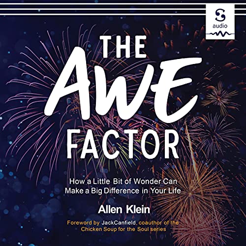 Cover of The Awe Factor