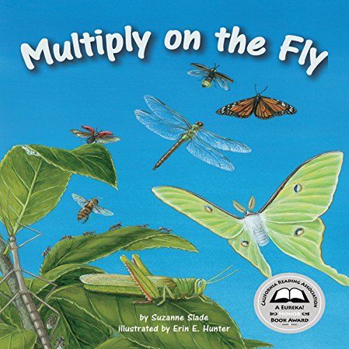 Cover of Multiply on the Fly