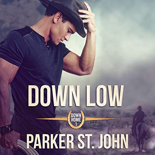 Cover of Down Low
