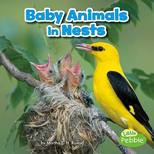 Cover of Baby Animals in Nests