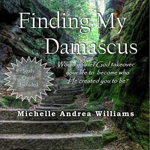 Cover of Finding My Damascus