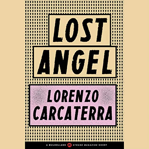 Cover of Lost Angel
