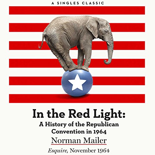 Cover of In the Red Light