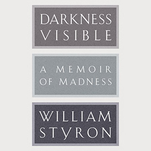 Cover of Darkness Visible