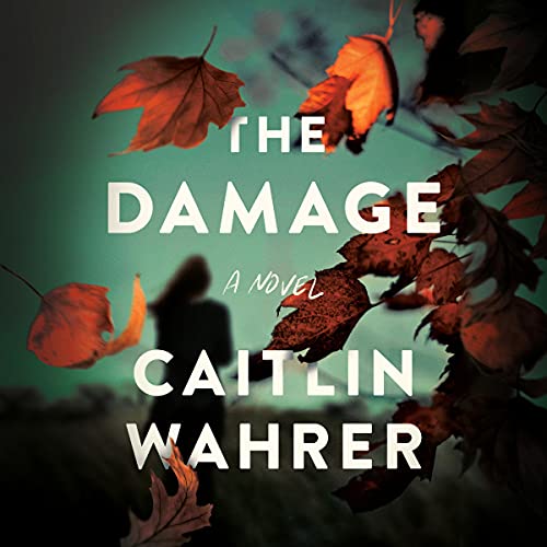 Cover of The Damage