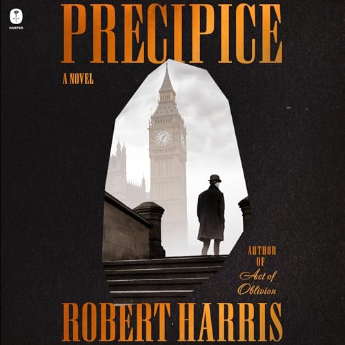Cover of Precipice