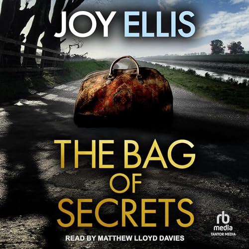 Cover of The Bag of Secrets