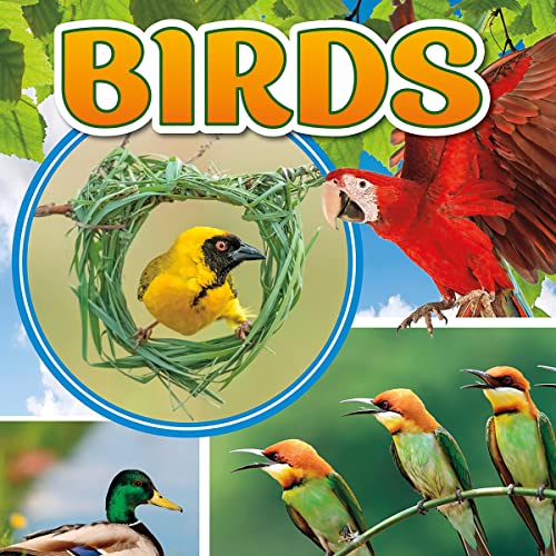Cover of Birds