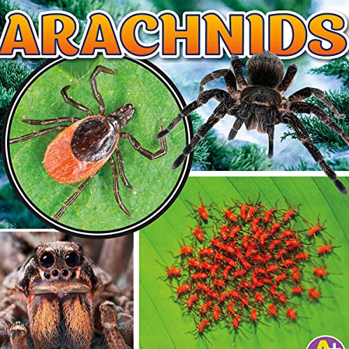 Cover of Arachnids