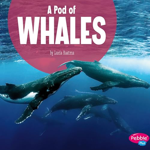 Cover of A Pod of Whales