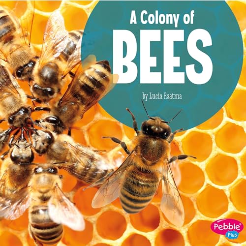 Cover of A Colony of Bees