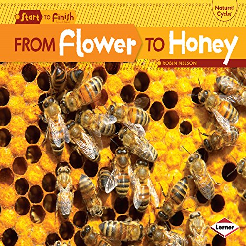 Cover of From Flower to Honey