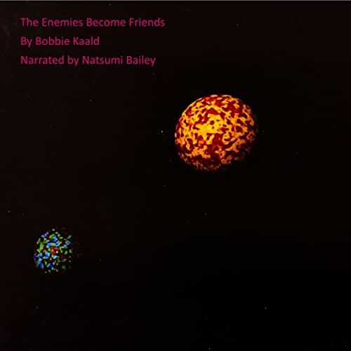 Cover of The Enemies Become Friends