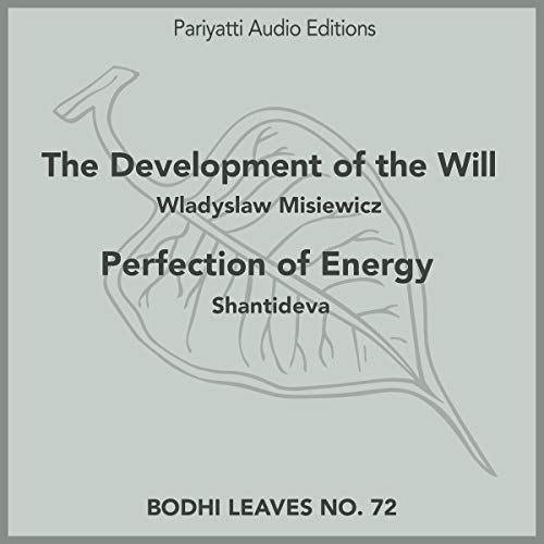 Cover of The Development of the Will and Perfection of Energy