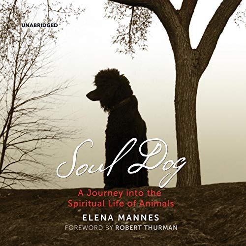 Cover of Soul Dog