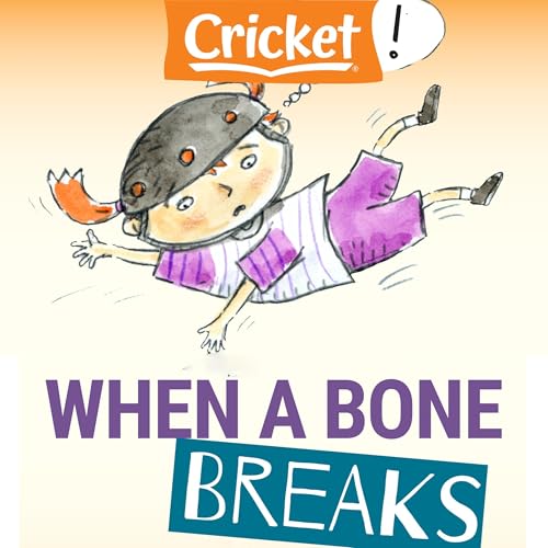 Cover of When a Bone Breaks
