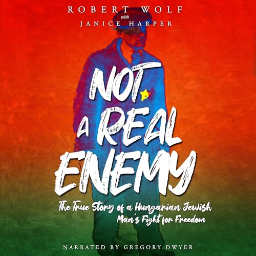 Cover of Not a Real Enemy