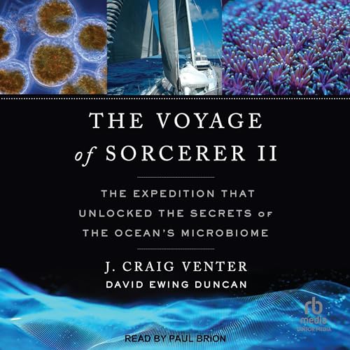 Cover of The Voyage of Sorcerer II
