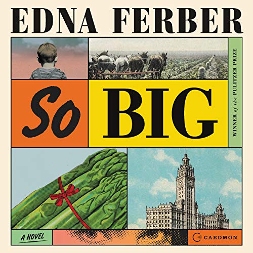 Cover of So Big