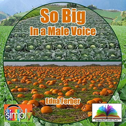 Cover of So Big