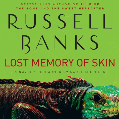 Cover of Lost Memory of Skin