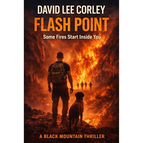Cover of Flash Point