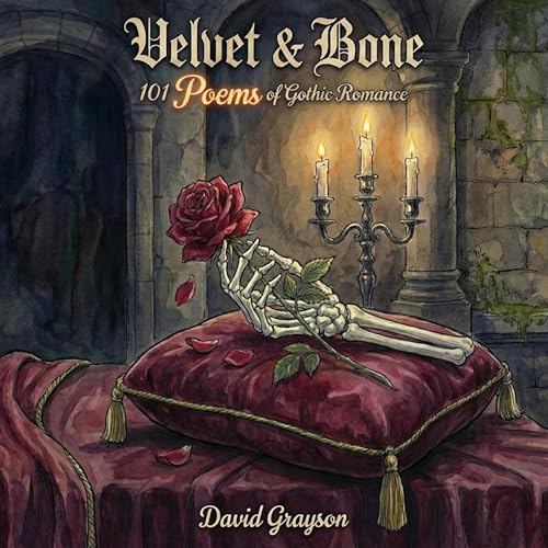 Cover of Velvet & Bone