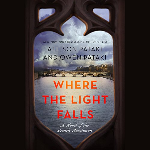 Cover of Where the Light Falls