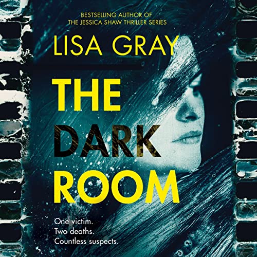 Cover of The Dark Room
