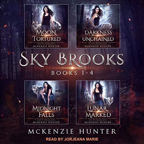 Cover of Sky Brooks: Books 1-4 Box Set