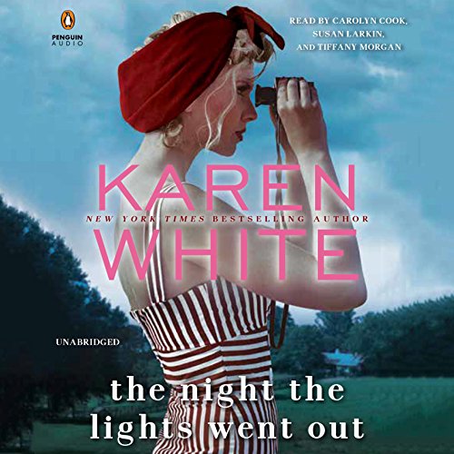 Cover of The Night the Lights Went Out