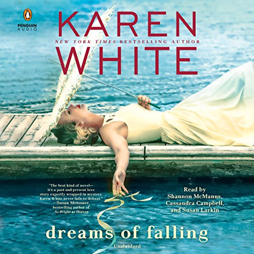 Cover of Dreams of Falling