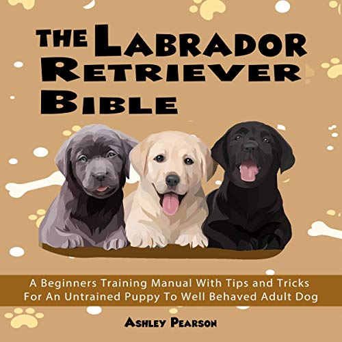 Cover of The Labrador Retriever Bible