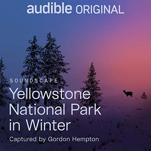 Cover of Yellowstone National Park in Winter