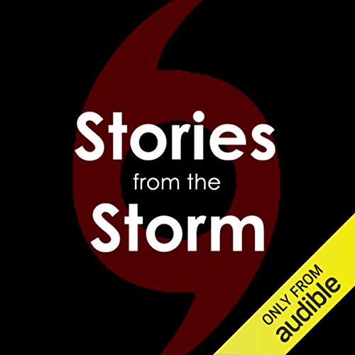 Cover of Stories from the Storm