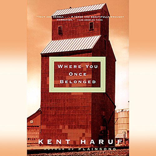 Cover of Where You Once Belonged