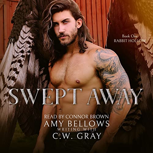 Cover of Swept Away