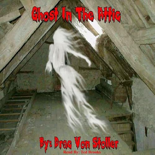 Cover of Ghost in the Attic
