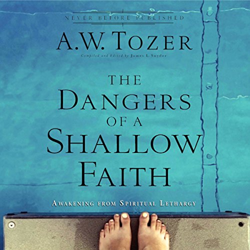Cover of The Dangers of a Shallow Faith