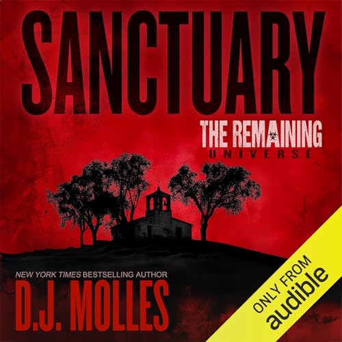 Cover of Sanctuary
