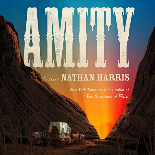 Cover of Amity