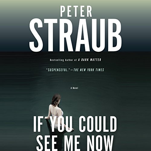 Cover of If You Could See Me Now