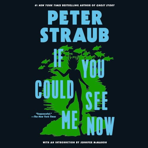 Cover of If You Could See Me Now